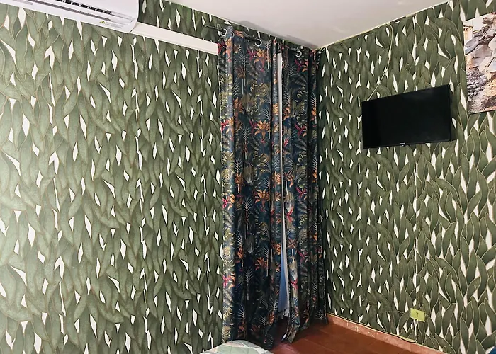 Magenta Roma House