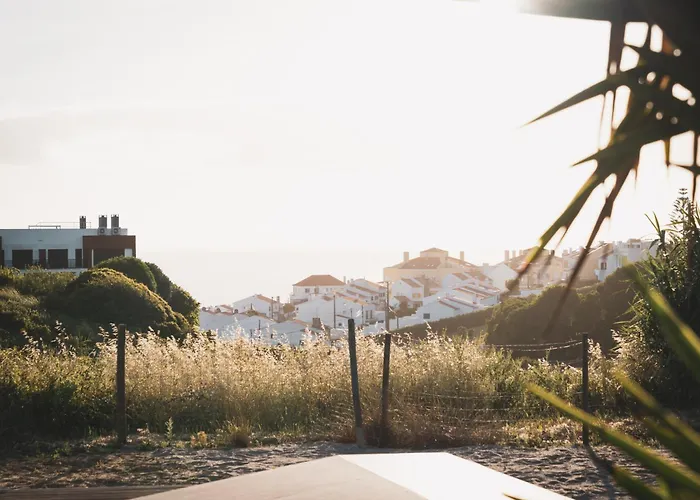 Perros hoteles Wot Ericeira Surf Social