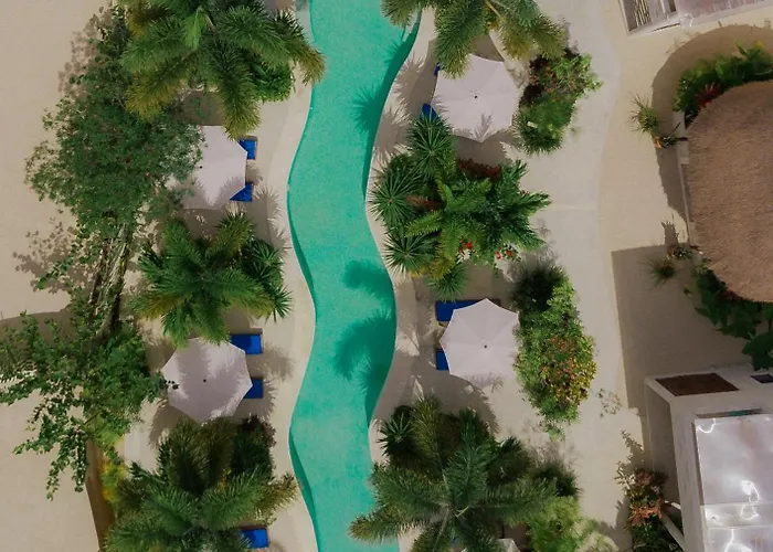 Blue Palm