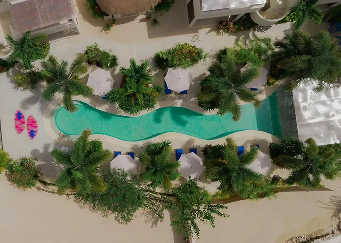 Blue Palm