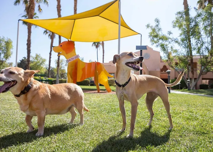 Westin Rancho Mirage Golf & Spa