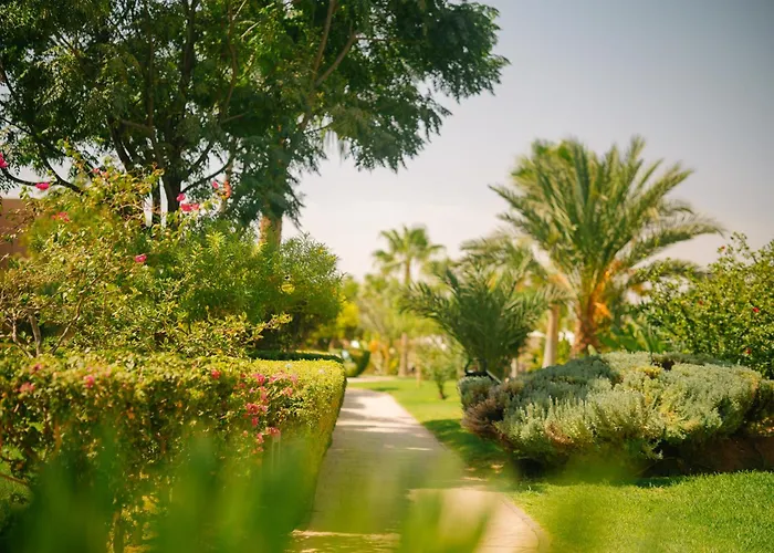 Golf hotels Be Live Collection Marrakech Adults Only All Inclusive
