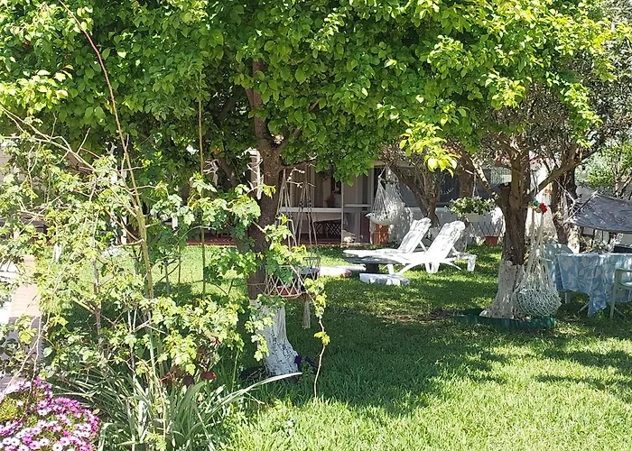 Roni'S Place