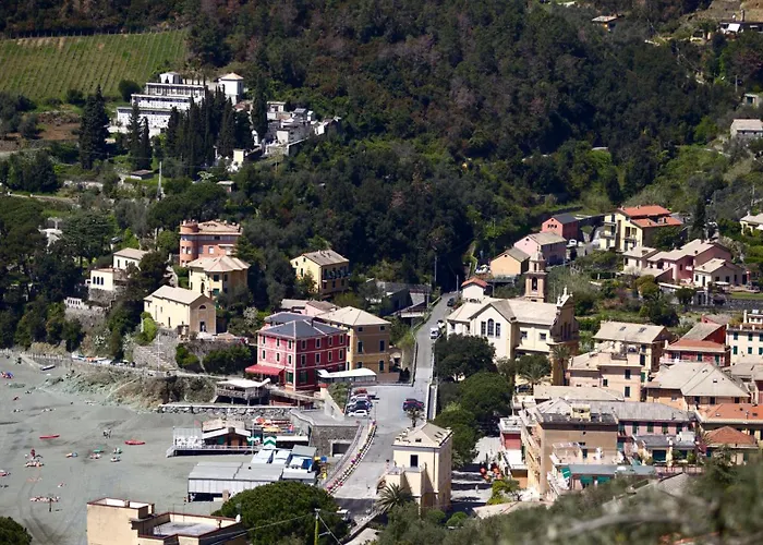 Feluca