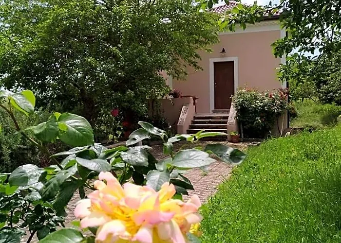  L'Antico Gelso