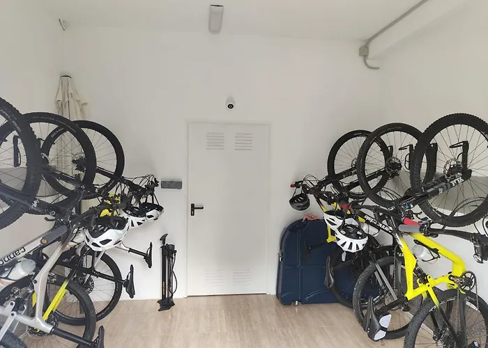 Apartamentos Falcó