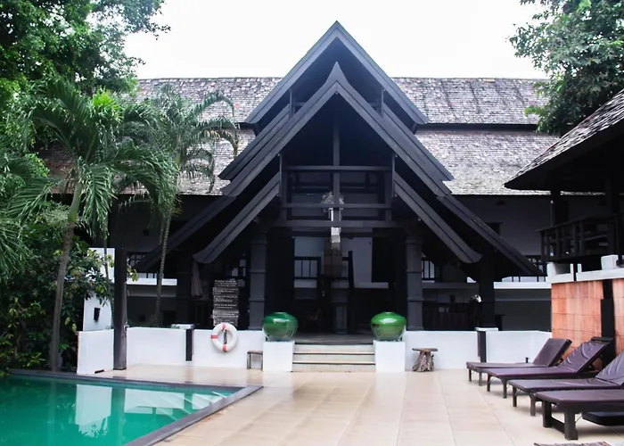 Rainforest Chiangmai