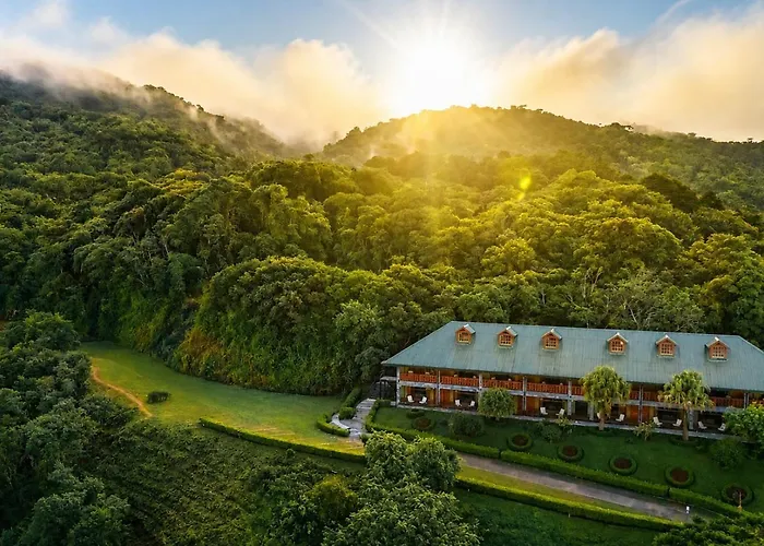  Heliconia - Monteverde