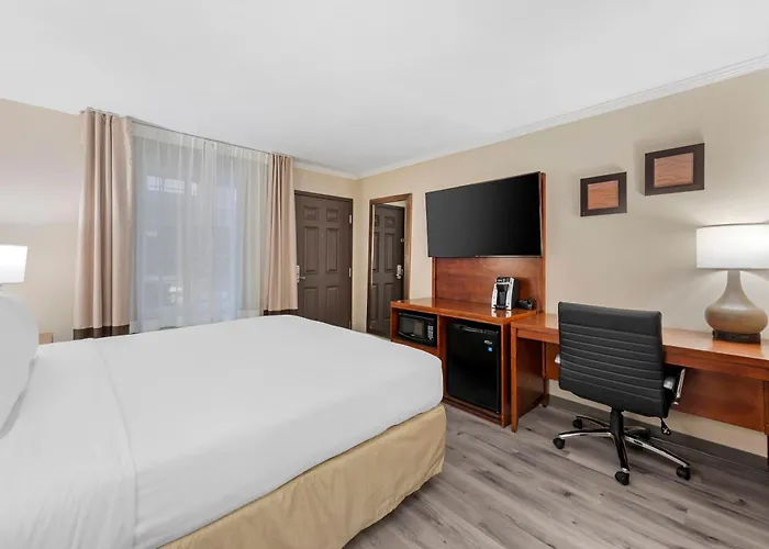 Comfort - West Los Angeles