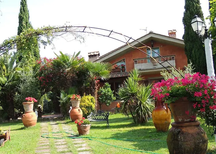 Il Cipresso del Gallo