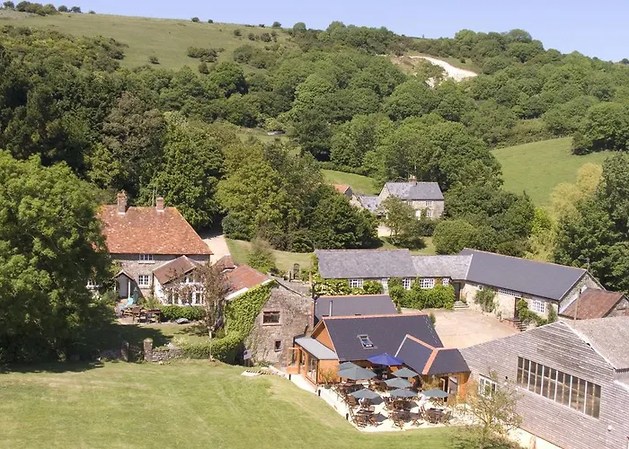 Pet Friendly hotel: The Garlic Farm