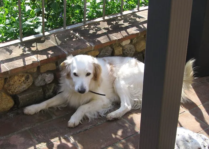 La Capanna Di Sovestro