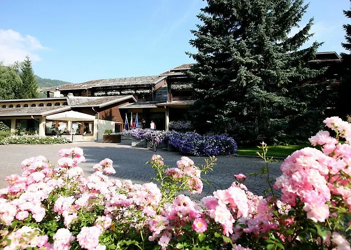 Hotel adatto agli animali: Palace Hotel Wellness & Beauty