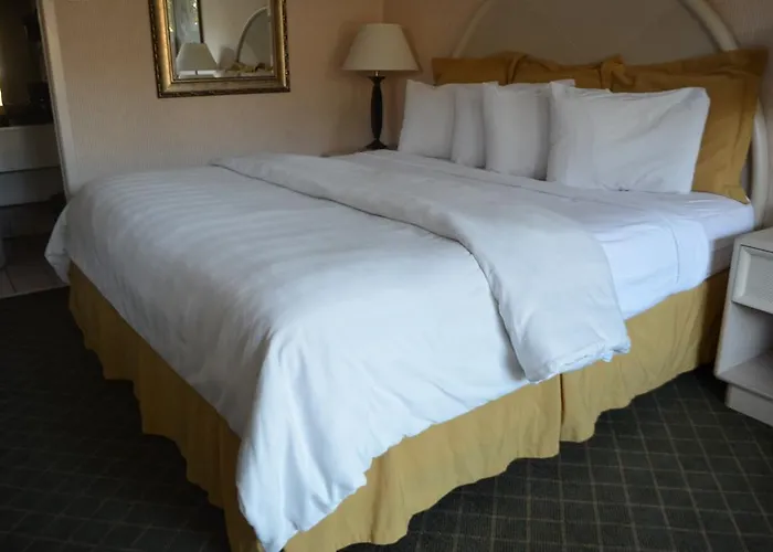 University Inn