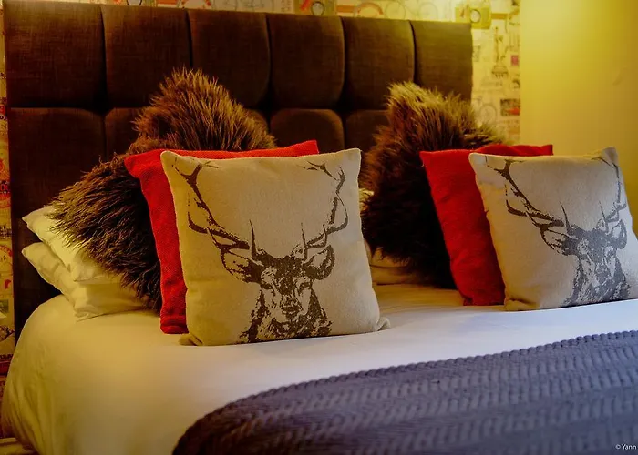 Hotel near College: Amadeus Guest House