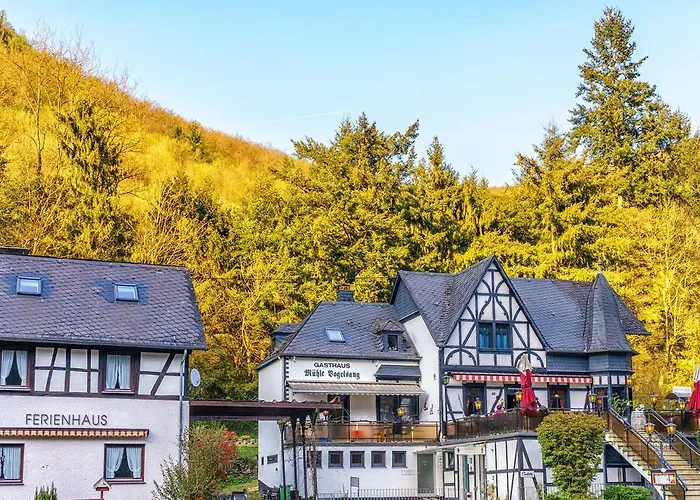 Historische Mühle Vogelsang