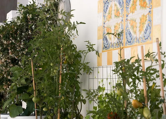 Villa Pollio Guest House