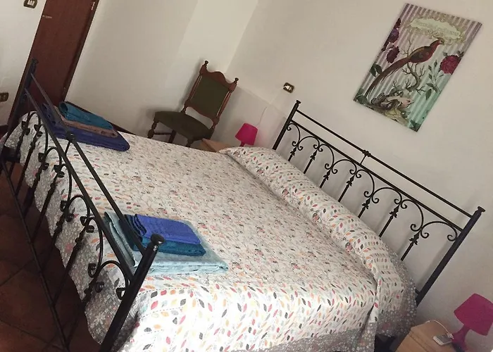 B&B Baldari
