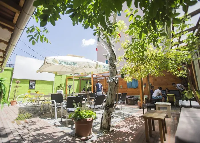 Kid friendly hotel White Tree