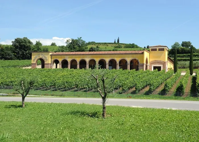 Monte Tondo Winery E