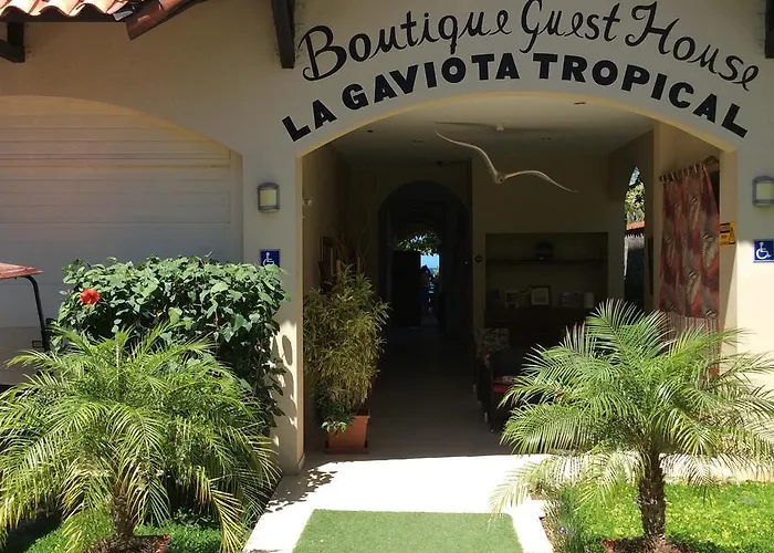 Hotel La Gaviota Tropical