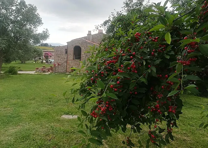 Azienda Agrituristica Le Chiuse
