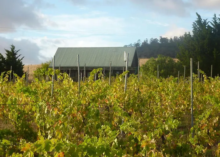 Charles Reuben Estate