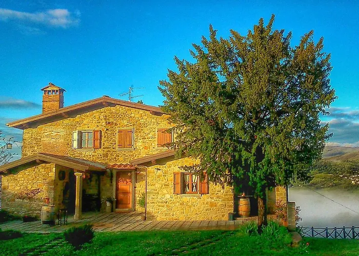 Fattoria Poggio Di Dante