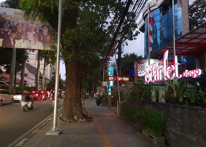 Scarlet Dago
