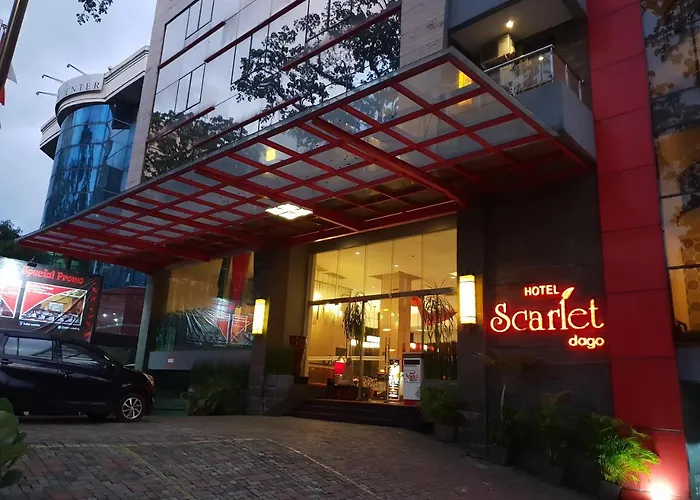 Scarlet Dago