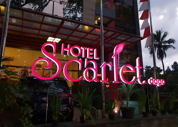 Scarlet Dago