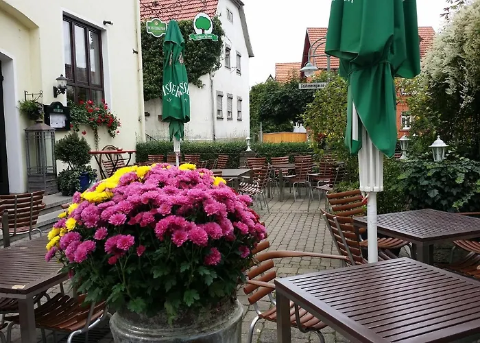 Hotel-Landgasthof Grüner Baum - Dittigheim