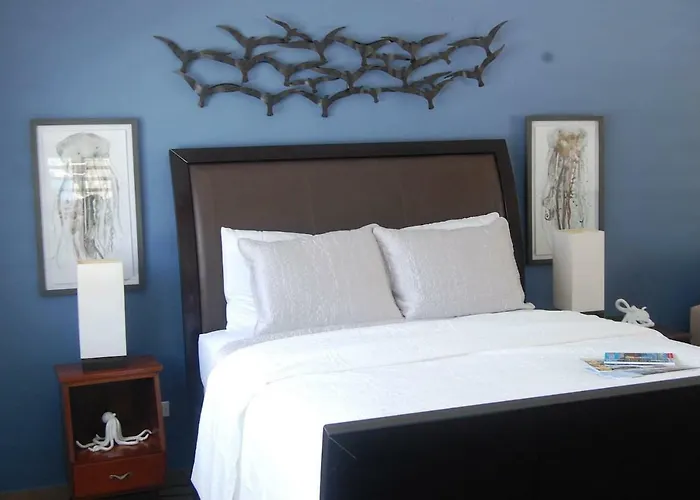 Hotel near College: Isla Verde By The Beach