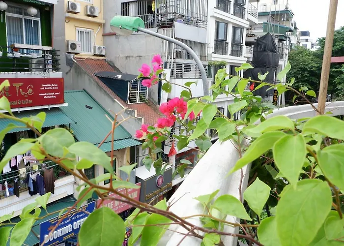 Hanoi Amanda