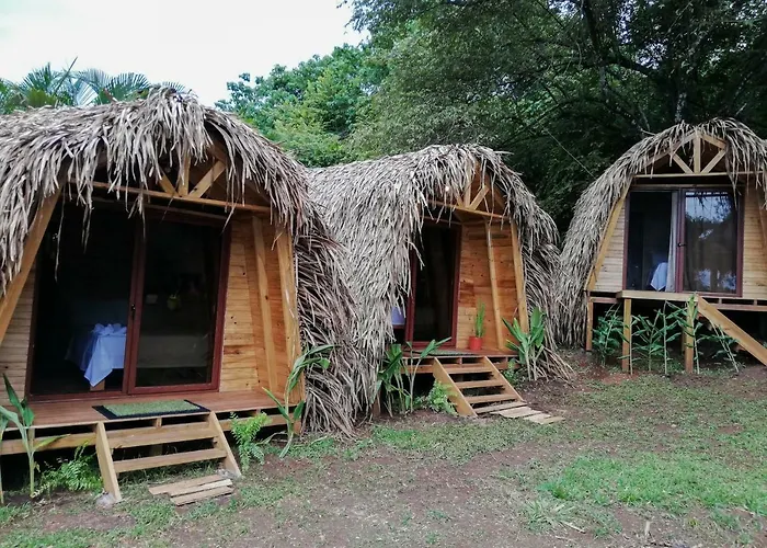 Bodhi Santa Catalina