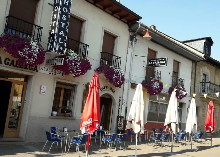  La Gallega