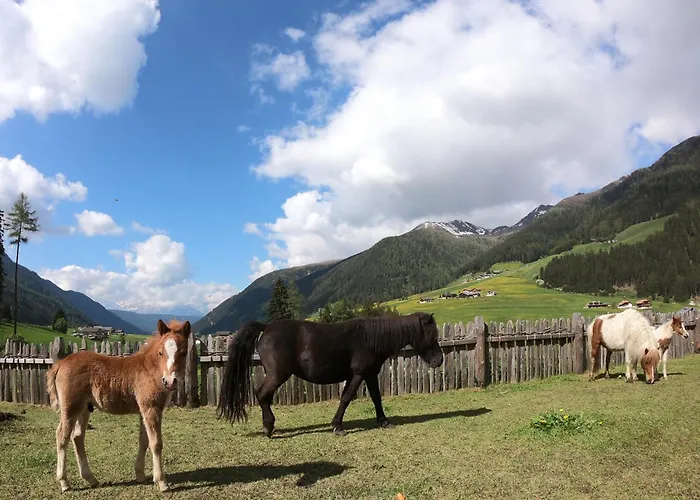 Hotel adatto agli animali: Burgerhof