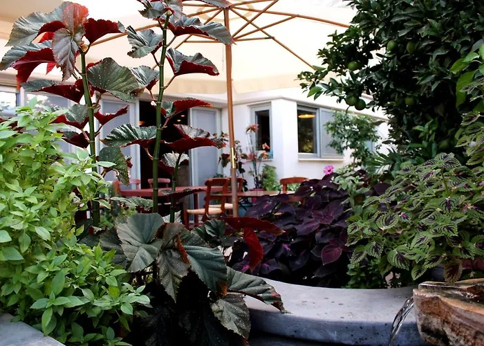 Philoxenia & Studios