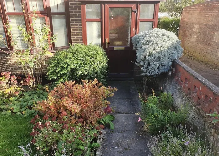 Elegant House 10 Minutes Walk To Wembley Stadium