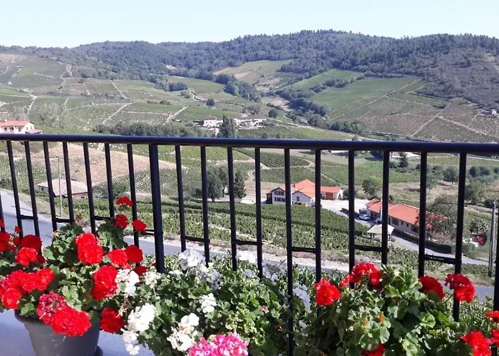 Domaine Du Coteau Des Lys